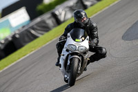 PJ-Motorsport-2019;donington-no-limits-trackday;donington-park-photographs;donington-trackday-photographs;no-limits-trackdays;peter-wileman-photography;trackday-digital-images;trackday-photos